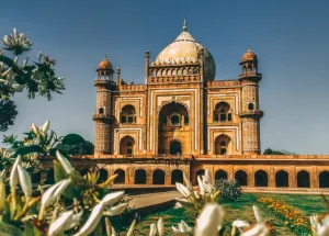 Meet Wittenborg in New Delhi, India 2024 Meet Wittenborg in New Delhi, India 2024