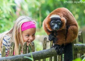 Wittenborg Puts Apeldoorn Zoo in Spotlight for First Online Project Week