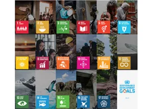 Wittenborg Sets to Pick up Pace to Act on UN SDGs & Societal Impact