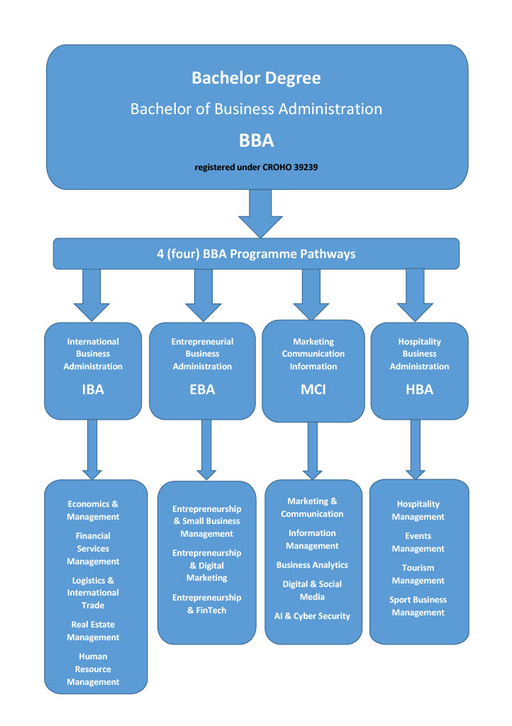 Bachelor Pathways & Specialisations